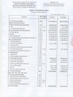 Báo cáo tài chính quý 1 năm 2010 (đã kiểm toán) - Công ty Cổ phần Kinh doanh Dịch vụ cao cấp Dầu khí Việt Nam