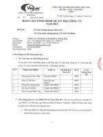 Báo cáo tình hình quản trị công ty - Công ty cổ phần Logistics Vinalink