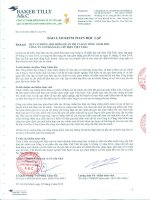 Báo cáo tài chính năm 2014 (đã kiểm toán) - Công ty Cổ phần Dây cáp điện Việt Thái