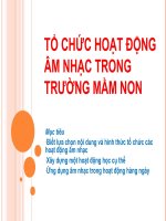Tổ chức hoạt động âm nhạc trong trường mầm non