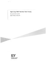 Báo cáo tài chính hợp nhất năm 2015 (đã kiểm toán) - Ngân hàng Thương mại Cổ phần Việt Nam Thịnh Vượng