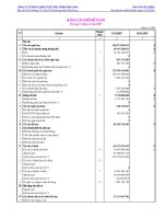 Báo cáo tài chính năm 2007 - Công ty Cổ phần Lương thực Thực phẩm Vĩnh Long