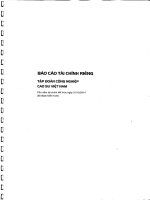 Báo cáo tài chính công ty mẹ năm 2014 - Tập đoàn Công nghiệp Cao su Việt Nam
