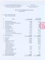 Báo cáo tài chính hợp nhất quý 4 năm 2009 - Tổng Công ty Cổ phần Dịch vụ Kỹ thuật Dầu khí Việt Nam