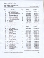 Báo cáo tài chính công ty mẹ quý 2 năm 2015 - Công ty Cổ phần Ánh Dương Việt Nam