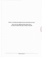 Báo cáo tài chính công ty mẹ năm 2009 (đã kiểm toán) - Công ty Cổ phần Bất động sản Du lịch Ninh Vân Bay