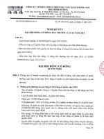 Nghị quyết Đại hội cổ đông bất thường - Công ty Cổ phần Đầu tư và Phát triển Dự án Hạ tầng Thái Bình Dương