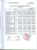 Báo cáo KQKD quý 2 năm 2010 - Công ty Cổ phần Đầu tư Phát triển Thương mại Viễn Đông