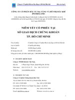 Bản cáo bạch - Công ty Cổ phần Đầu tư Hạ tầng và Đô thị Dầu khí PVC