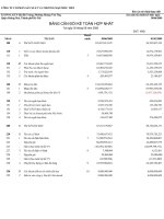 Báo cáo tài chính hợp nhất quý 2 năm 2009 - Công ty Cổ phần Sản xuất và Thương mại Phúc Tiến