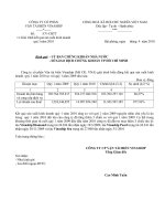 Báo cáo tài chính quý 1 năm 2010 - Công ty Cổ phần Vận tải Biển Vinaship