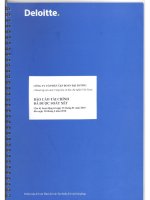 Báo cáo tài chính công ty mẹ quý 2 năm 2010 (đã soát xét) - Công ty Cổ phần Tập đoàn Đại Dương