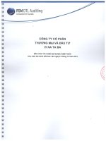 Báo cáo tài chính năm 2013 (đã kiểm toán) - Công ty cổ phần Thương mại và Đầu tư Vinataba