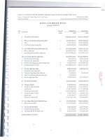 Báo cáo tài chính quý 3 năm 2011 - Công ty Cổ phần Chứng khoán Thương mại và Công nghiệp Việt Nam