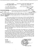 Báo cáo tài chính công ty mẹ năm 2013 (đã kiểm toán) - Tập đoàn Công nghiệp Cao su Việt Nam