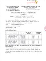 Báo cáo tình hình quản trị công ty - Công ty cổ phần Bê tông và Xây dựng Vinaconex Xuân Mai