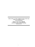 Báo cáo tài chính quý 2 năm 2009 - Công ty Cổ phần VICEM Vật tư Vận tải Xi măng
