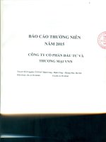 Báo cáo thường niên năm 2015 - Công ty cổ phần Đầu tư và Thương mại VNN