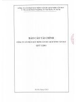 Báo cáo tài chính công ty mẹ quý 1 năm 2011 - Công ty Cổ phần Bất động sản Du lịch Ninh Vân Bay