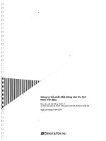 Báo cáo tài chính công ty mẹ quý 2 năm 2010 (đã soát xét) - Công ty Cổ phần Bất động sản Du lịch Ninh Vân Bay