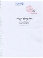 Báo cáo tài chính quý 1 năm 2010 (đã kiểm toán) - Công ty Cổ phần Xây lắp và Địa ốc Vũng Tàu