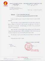 Nghị quyết Hội đồng Quản trị ngày 10-01-2011 - Tập đoàn Vingroup - Công ty Cổ phần