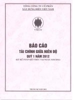 Báo cáo tài chính công ty mẹ quý 1 năm 2012 - Tổng công ty Cổ phần Xây dựng điện Việt Nam