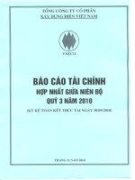 Báo cáo tài chính hợp nhất quý 3 năm 2010 - Tổng công ty Cổ phần Xây dựng điện Việt Nam