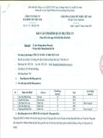 Báo cáo tình hình quản trị công ty - Công ty cổ phần Đầu tư Bất động sản Việt Nam