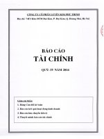 Báo cáo tài chính công ty mẹ quý  năm PhanTichBaoCao - Công ty Cổ phần Luyện kim Phú Thịnh
