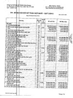 Báo cáo tài chính hợp nhất quý 2 năm 2012 - Công ty Cổ phần Sản xuất Thương mại Dịch vụ Phú Phong