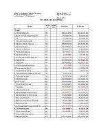 Báo cáo tài chính quý 2 năm 2011 - Công ty Cổ phần Nhựa Thiếu niên Tiền Phong