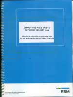 Báo cáo tài chính công ty mẹ năm 2015 (đã kiểm toán) - Công ty cổ phần Đầu tư Bất động sản Việt Nam