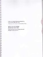 Báo cáo tài chính quý 2 năm 2011 (đã soát xét) - Công ty Cổ phần Kinh doanh Dịch vụ cao cấp Dầu khí Việt Nam