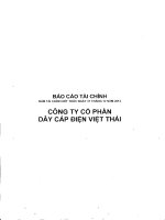 Báo cáo tài chính năm 2012 (đã kiểm toán) - Công ty Cổ phần Dây cáp điện Việt Thái