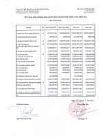 Báo cáo KQKD hợp nhất quý 4 năm 2010 - Công ty Cổ phần Bất động sản Du lịch Ninh Vân Bay