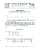 Nghị quyết Đại hội cổ đông thường niên năm 2012 - Công ty Cổ phần Dây cáp điện Việt Thái