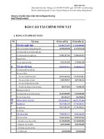 Báo cáo tài chính năm 2008 - Công ty cổ phần Giao nhận Vận tải Ngoại thương