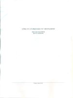 Báo cáo tài chính công ty mẹ quý 4 năm 2012 - Công ty cổ phần Đầu tư và Thương mại VNN