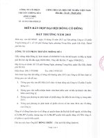 Nghị quyết Đại hội cổ đông bất thường - Công ty Cổ phần Truyền thông số 1