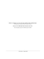 Báo cáo tài chính hợp nhất quý 2 năm 2009 - Công ty Cổ phần Vận tải Xăng dầu Đường thủy Petrolimex