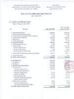 Báo cáo tài chính quý 4 năm 2008 - Tổng Công ty Cổ phần Dịch vụ Kỹ thuật Dầu khí Việt Nam