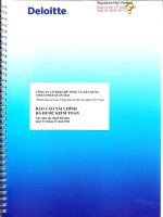 Báo cáo tài chính công ty mẹ năm 2012 (đã kiểm toán) - Công ty cổ phần Bê tông và Xây dựng Vinaconex Xuân Mai