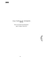 Báo cáo tài chính năm 2013 (đã kiểm toán) - Công ty Cổ phần Sản xuất – Xuất nhập khẩu Dệt May