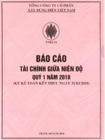 Báo cáo tài chính công ty mẹ quý 1 năm 2010 - Tổng công ty Cổ phần Xây dựng điện Việt Nam