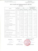 Báo cáo KQKD quý 1 năm 2013 - Công ty Cổ phần Vạn Phát Hưng