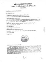 Báo cáo thường niên năm 2013 - Công ty cổ phần Du lịch Quốc tế Vũng Tàu