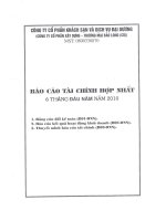 Báo cáo tài chính hợp nhất quý 2 năm 2010 - Công ty Cổ phần Khách sạn và Dịch vụ Đại Dương