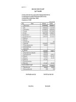 Báo cáo tài chính quý 4 năm 2008 - Quỹ Đầu tư Cân bằng Prudential