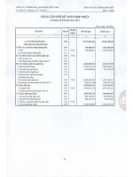 Báo cáo tài chính hợp nhất quý 3 năm 2013 - Công ty Cổ phần Du lịch Thành Thành Công